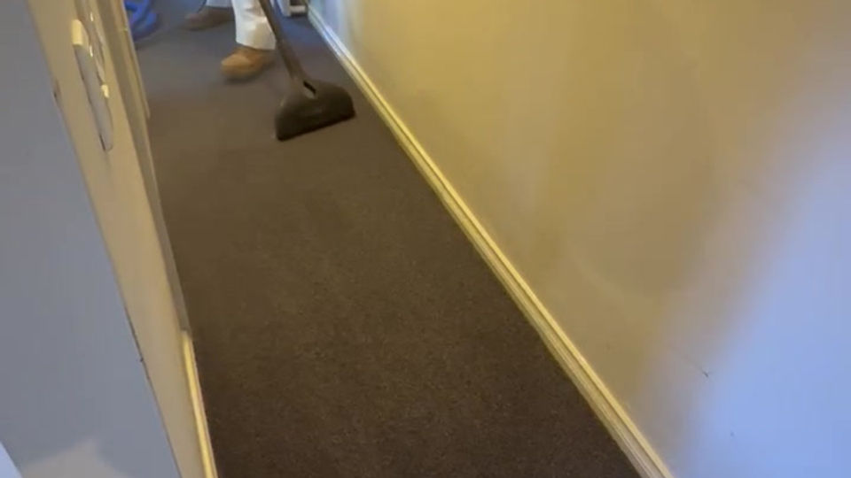 Carpet Cleaning